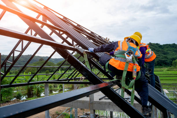 Best Flat Roof Repair Services  in Lame Deer, MT