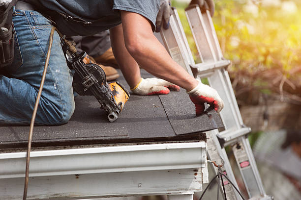 Best Best Roofing Contractors  in Lame Deer, MT